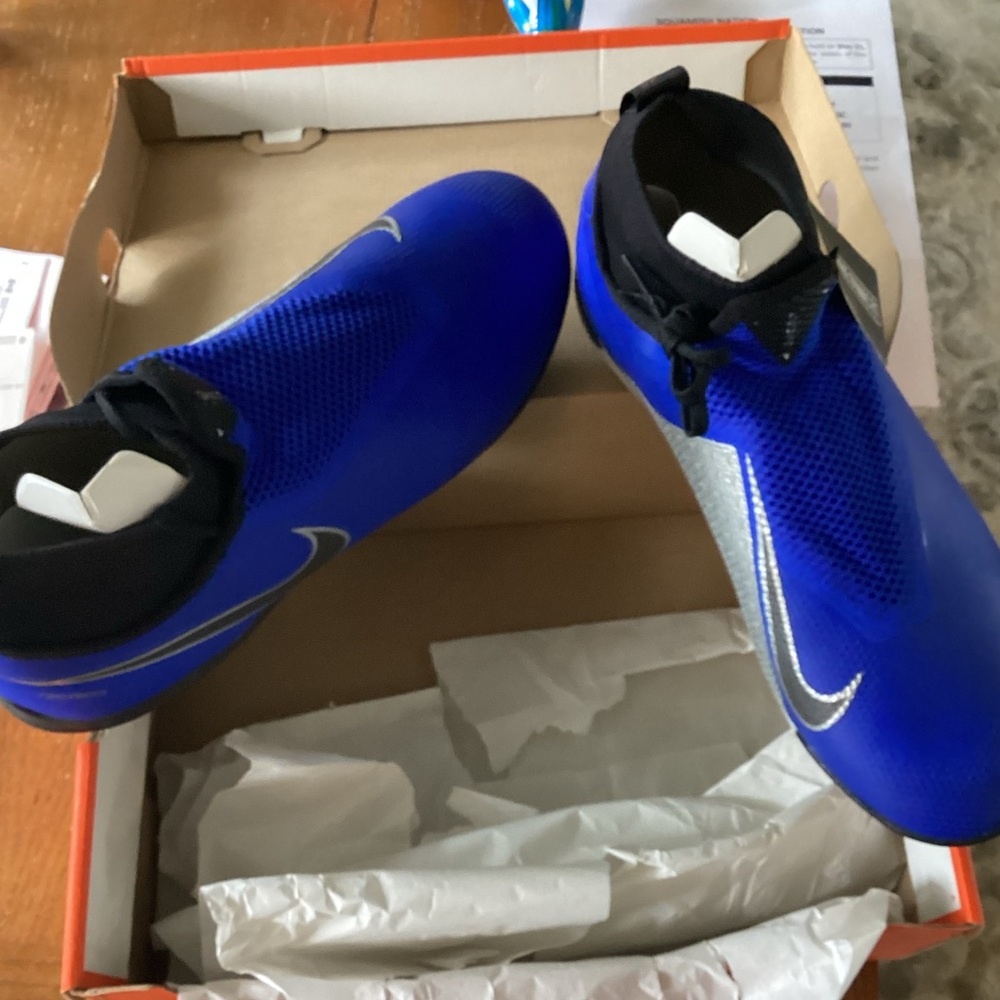 Nike Dynamic Fit Blue runners